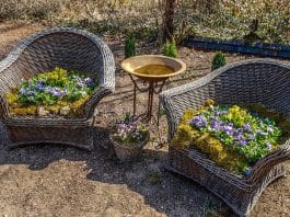 Décoration : quelles sont les tendances de l’été ?