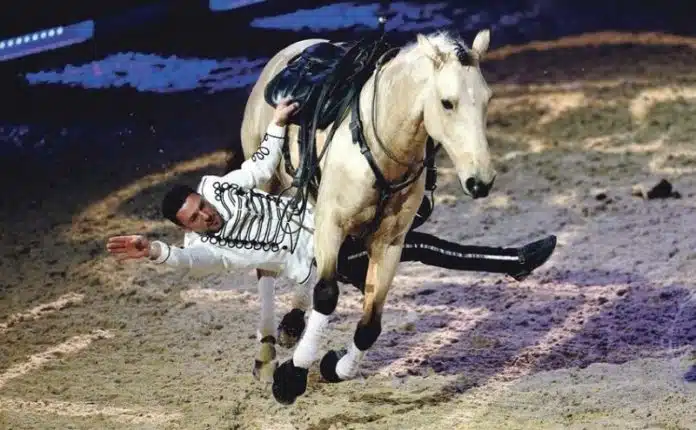 Quelles sont les équipements présentés à Cheval Passion