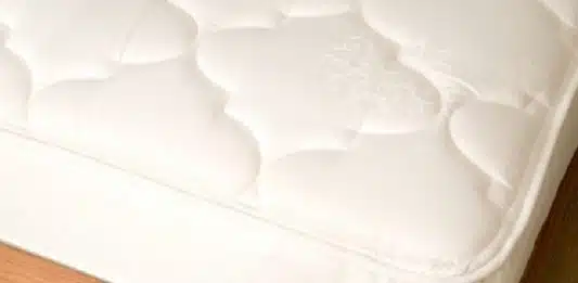 Comment se débarrasser des punaises de lit naturellement