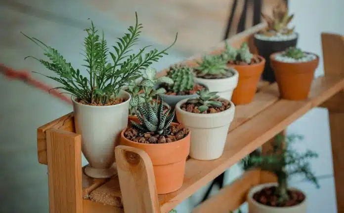 étagère pour vos plantes extérieures