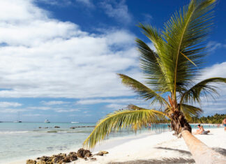 Découverte nature et culture : le meilleur de la République Dominicaine Découverte nature et culture : le meilleur de la République Dominicaine